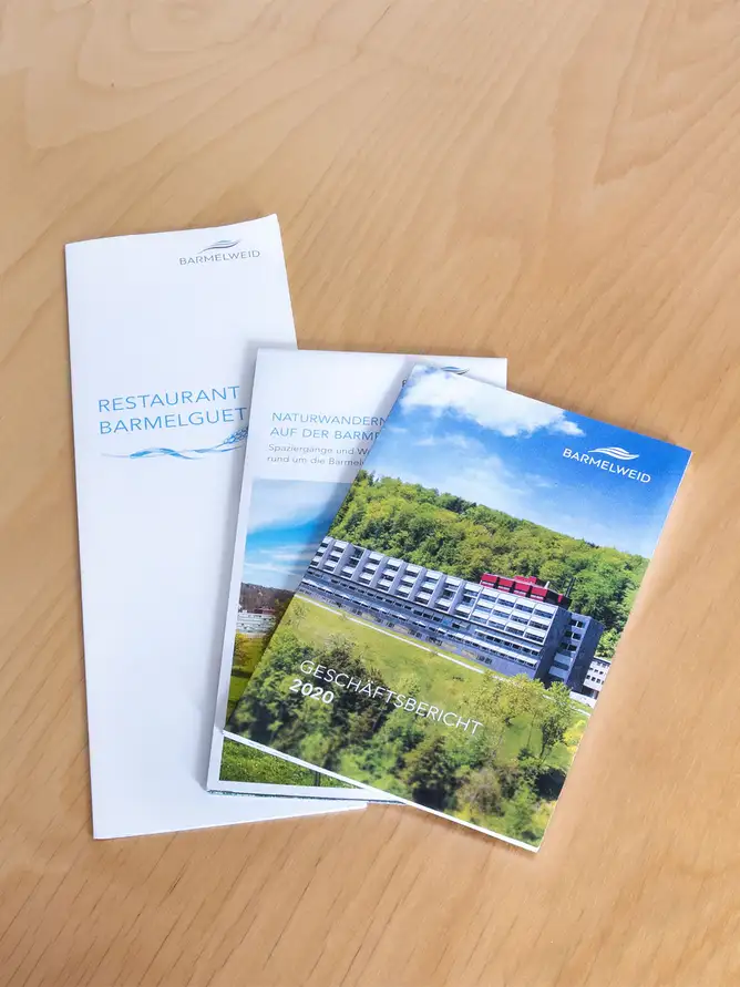 Barmelweid Gruppe AG