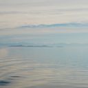 tb_DSC_3415.JPG